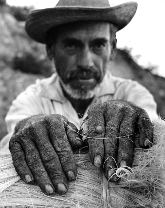 La-vida-no-es-bella.b.res_ La-vida-no-es-bella.b.res_