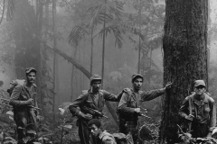 Guerrilleros-en-la-niebla-copy