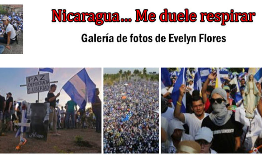 galeria-evelyn