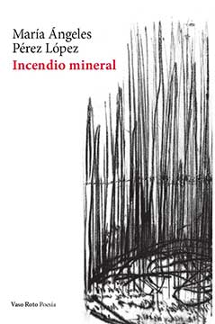 incendio-mineral